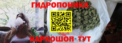 прущие грибы Волжский