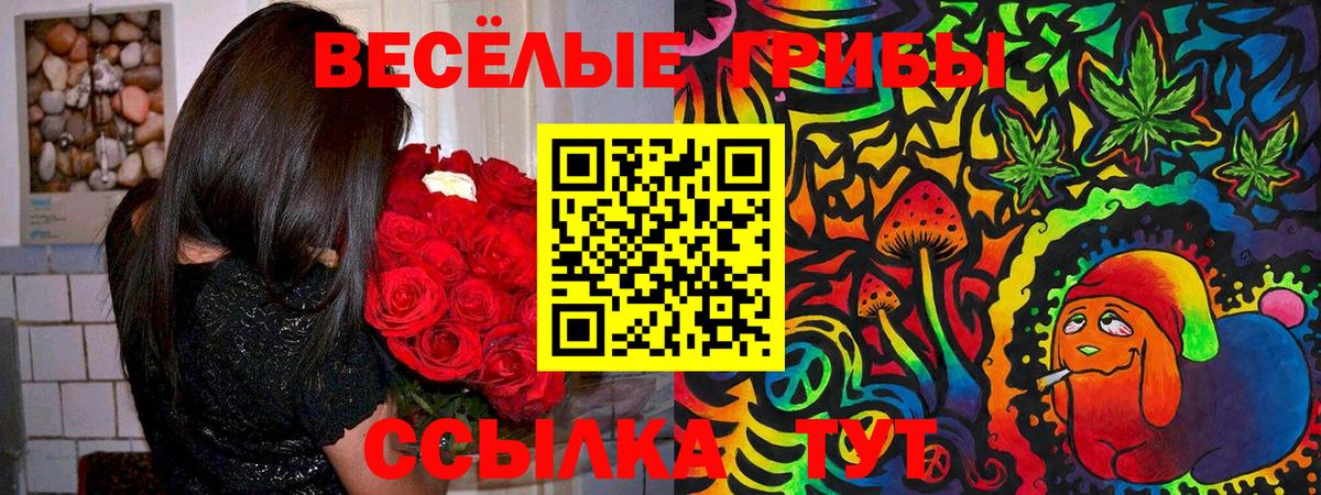 Галлюциногенные грибы ЛСД  где купить наркоту  Буйнакск  Вход с VPN 
