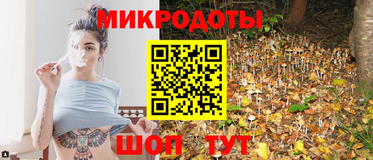 Галлюциногенные грибы GOLDEN TEACHER Буйнакск